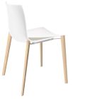 Catifa 46 Vierbein Holz